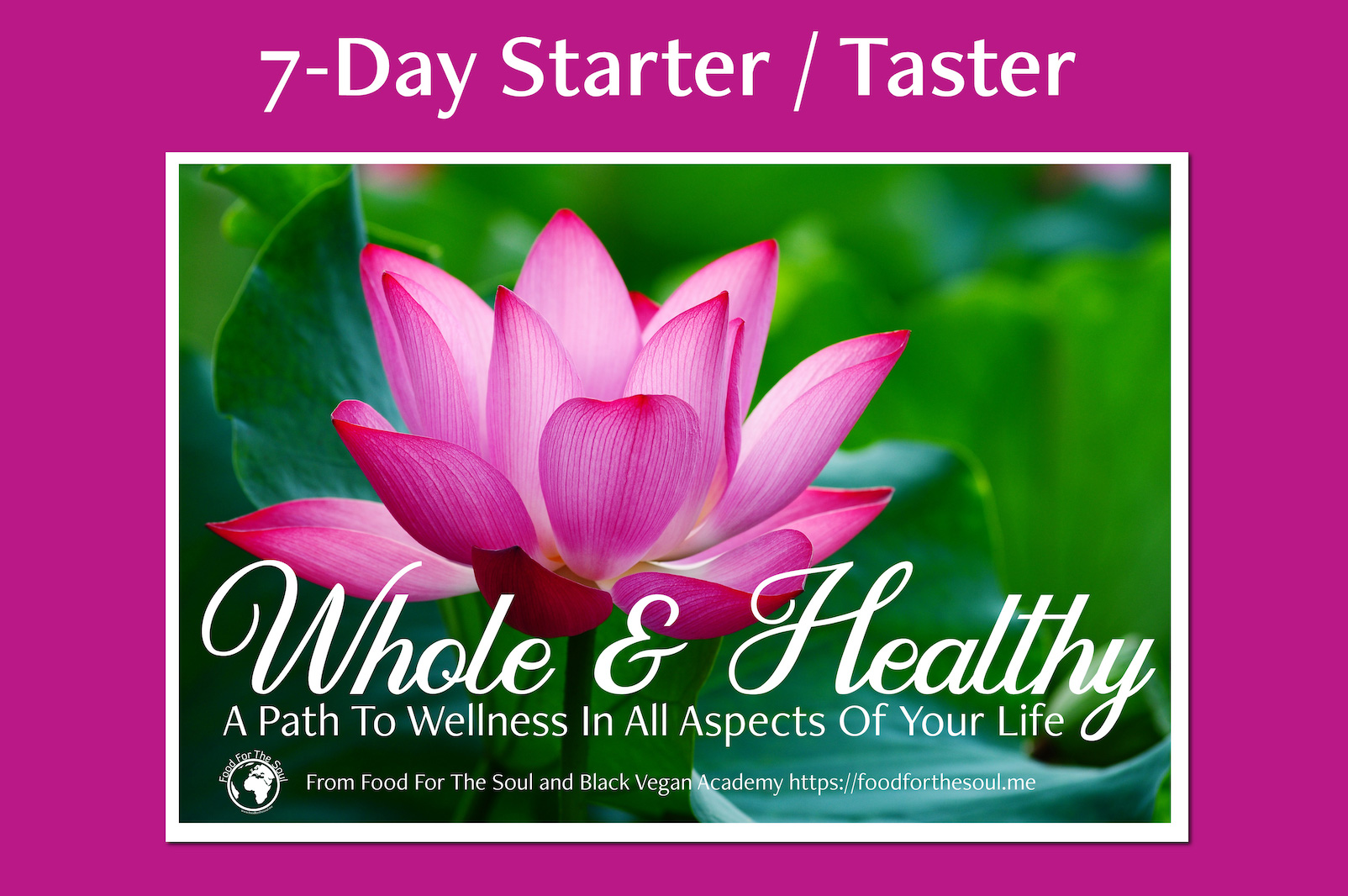 You are currently viewing 7 Day Whole & Healthy Starter